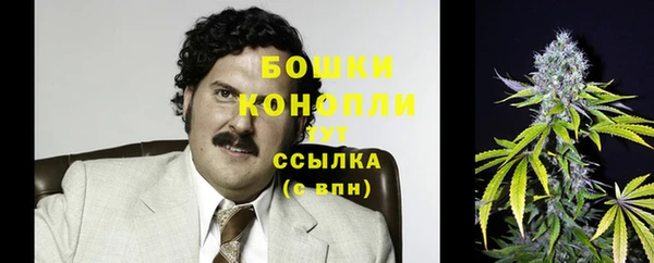 дмт Белокуриха