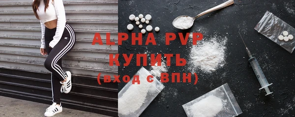 дмт Белокуриха