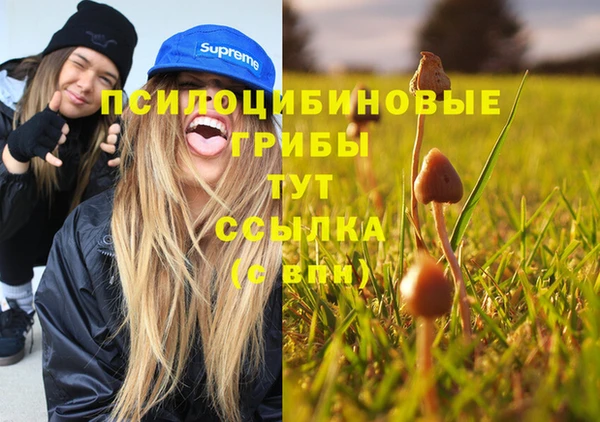 дмт Белокуриха
